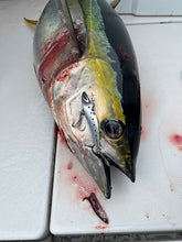 画像をギャラリービューアに読み込む, IRONTOMAHAWK 825S / アイアントマホーク ITNB-825S