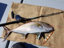 画像をギャラリービューアに読み込む, IRONWILL 634BWSF / アイアンウィル IWPS-634BWSF