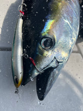 画像をギャラリービューアに読み込む, IRONTOMAHAWK 825S / アイアントマホーク ITNB-825S