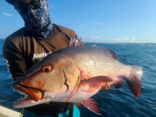 画像をギャラリービューアに読み込む, SURFISH220F/サーフィッシュ220F