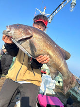 画像をギャラリービューアに読み込む, IRONFLICK 6605QuickDrive / アイアンフリック IFLB-6605QD