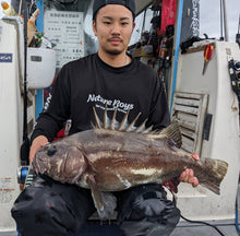 画像をギャラリービューアに読み込む, IRONFLICK 6605QuickDrive / アイアンフリック IFLB-6605QD