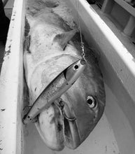 画像をギャラリービューアに読み込む, Kiduppers DevilLeader デビルリーダーSH、MH、XH