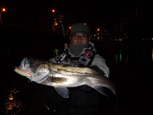 画像をギャラリービューアに読み込む, ダイナマ90SSP/DAINAMA90SSP