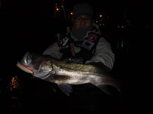 画像をギャラリービューアに読み込む, ダイナマ90SSP/DAINAMA90SSP