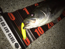 画像をギャラリービューアに読み込む, ダイナマ90SSP/DAINAMA90SSP