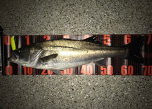 画像をギャラリービューアに読み込む, ダイナマ90SSP/DAINAMA90SSP