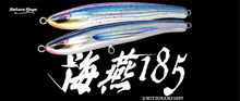画像をギャラリービューアに読み込む, 海燕185F/Umitsubame185F