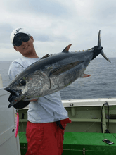 画像をギャラリービューアに読み込む, UMIGARASU120S/ウミガラス120S (UG120S)