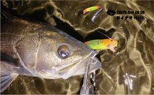 画像をギャラリービューアに読み込む, ダイナマ90SSP/DAINAMA90SSP