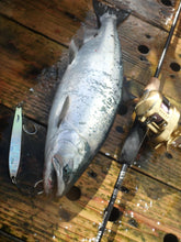 画像をギャラリービューアに読み込む, TINY ROBBER/タイニーローバー110g 130g 150g