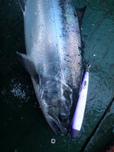 画像をギャラリービューアに読み込む, TINY ROBBER/タイニーローバー110g 130g 150g