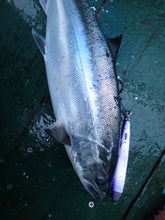 画像をギャラリービューアに読み込む, TINY ROBBER/タイニーローバー110g 130g 150g