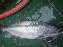 画像をギャラリービューアに読み込む, TINY ROBBER/タイニーローバー110g 130g 150g