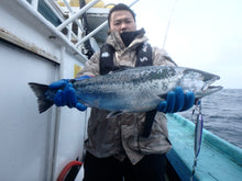 画像をギャラリービューアに読み込む, TINY ROBBER/タイニーローバー110g 130g 150g