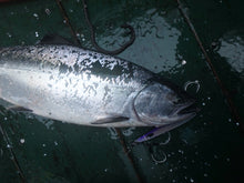 画像をギャラリービューアに読み込む, TINY ROBBER/タイニーローバー110g 130g 150g