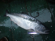 画像をギャラリービューアに読み込む, TINY ROBBER/タイニーローバー110g 130g 150g