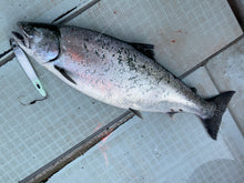 画像をギャラリービューアに読み込む, TINY ROBBER/タイニーローバー110g 130g 150g