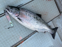 画像をギャラリービューアに読み込む, TINY ROBBER/タイニーローバー110g 130g 150g