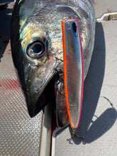 画像をギャラリービューアに読み込む, PELICAN180F/ペリカン180F