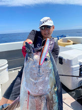 画像をギャラリービューアに読み込む, PELICAN180F/ペリカン180F