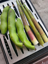 画像をギャラリービューアに読み込む, 鉄ジグ屋のテッパン 試作1号(ステンレス製)