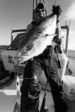 画像をギャラリービューアに読み込む, SaltWaterFunctionBIB Ⅱ /ソルトウォーターファンクションビブⅡ