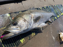 画像をギャラリービューアに読み込む, 敏腕バイブ/BINWAN VIB 15g