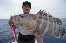 画像をギャラリービューアに読み込む, SPINRIDERDEEP/スピンライダーディープ