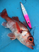 画像をギャラリービューアに読み込む, SPINRIDERDEEP/スピンライダーディープ