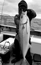 画像をギャラリービューアに読み込む, IRONRANGE662QUICKDRIVE/アイアンレンジ662クイックドライブ IRNB-662QD