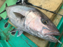 画像をギャラリービューアに読み込む, IRONWILL 585BW / アイアンウィル IWPS-585BW+PF