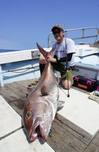 画像をギャラリービューアに読み込む, IRON FLICK "Aggressive" 5103T / アイアンフリックアグレッシブ IFAB-5103T