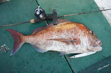 画像をギャラリービューアに読み込む, IRON FLICK "Aggressive" 5103T / アイアンフリックアグレッシブ IFAB-5103T