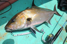 画像をギャラリービューアに読み込む, IRONWILL 595W / アイアンウィル IWPS-595W+PF