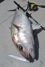 画像をギャラリービューアに読み込む, IRONWILL 595W / アイアンウィル IWPS-595W+PF