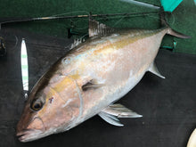 画像をギャラリービューアに読み込む, IRONWILL 536WPF / アイアンウィル IWPS-536WPF