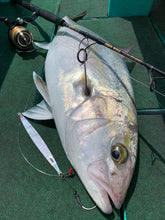 画像をギャラリービューアに読み込む, SwimRiderShort/スイムライダーショート295g