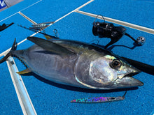 画像をギャラリービューアに読み込む, SwimRiderShort/スイムライダーショート295g