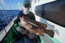 Load image into Gallery viewer, NatureBoys Gaff/Gaff