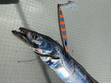 画像をギャラリービューアに読み込む, Kiduppers DevilLeader デビルリーダーSH、MH、XH