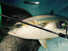 画像をギャラリービューアに読み込む, IRON CAT/アイアンキャット6315 ICNB-6315