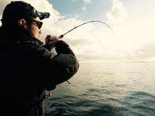 画像をギャラリービューアに読み込む, IRON CAT/アイアンキャット6210B ICNB-6210B