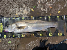 画像をギャラリービューアに読み込む, 敏腕バイブ/BINWAN VIB 15g