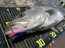 画像をギャラリービューアに読み込む, 敏腕バイブ/BINWAN VIB 15g