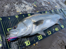 画像をギャラリービューアに読み込む, 敏腕バイブ/BINWAN VIB 15g