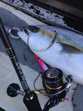 画像をギャラリービューアに読み込む, IRON CAT/アイアンキャット6315 ICNB-6315