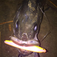 画像をギャラリービューアに読み込む, 龍宮80/RYUGU80