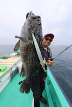 画像をギャラリービューアに読み込む, IRON CAT/アイアンキャット6210B ICNB-6210B