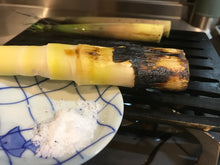Load image into Gallery viewer, Iron Jig Shop's Teppan Prototype No. 3 (Iron)